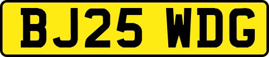 BJ25WDG