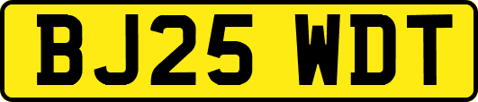 BJ25WDT