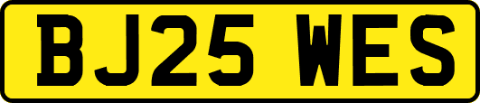 BJ25WES