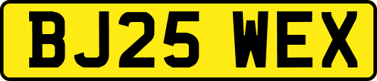 BJ25WEX