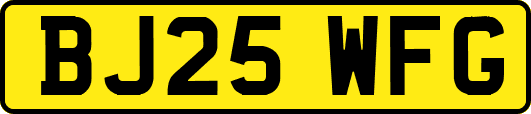 BJ25WFG