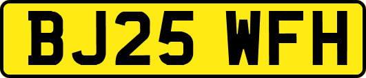 BJ25WFH