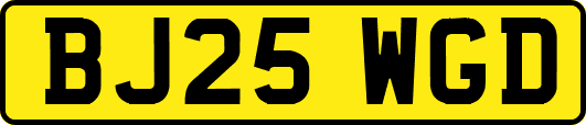 BJ25WGD
