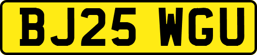 BJ25WGU