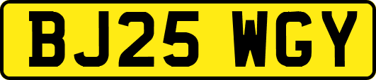 BJ25WGY