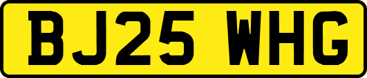 BJ25WHG
