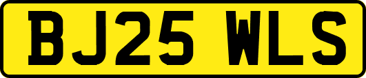 BJ25WLS