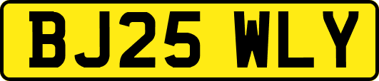 BJ25WLY