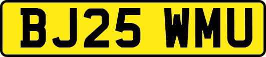 BJ25WMU