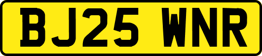 BJ25WNR