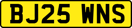 BJ25WNS