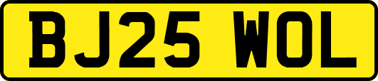 BJ25WOL