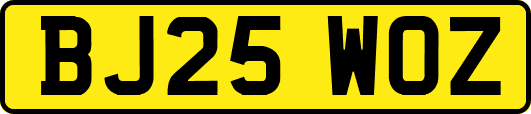 BJ25WOZ