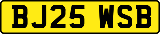 BJ25WSB