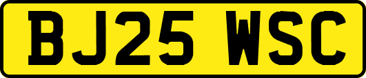 BJ25WSC