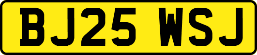 BJ25WSJ