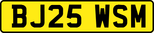 BJ25WSM