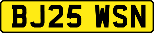 BJ25WSN