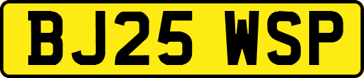 BJ25WSP
