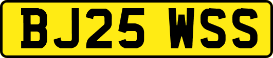 BJ25WSS