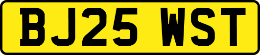 BJ25WST
