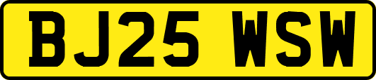BJ25WSW