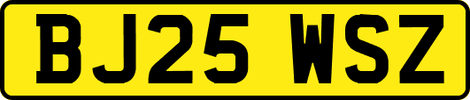 BJ25WSZ