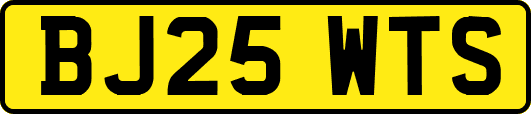 BJ25WTS