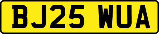 BJ25WUA