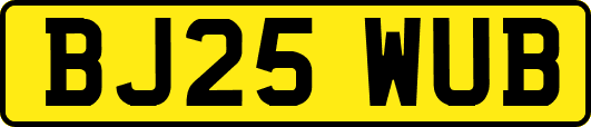 BJ25WUB