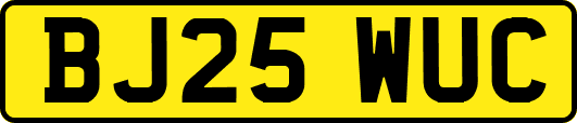 BJ25WUC
