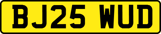 BJ25WUD