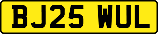 BJ25WUL