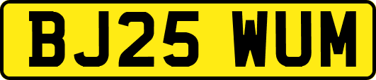 BJ25WUM