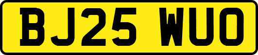 BJ25WUO