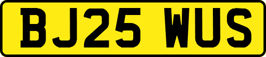 BJ25WUS