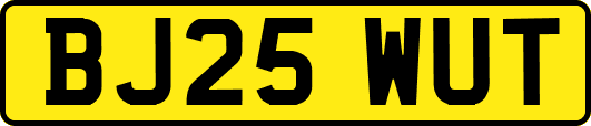 BJ25WUT
