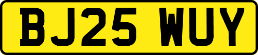 BJ25WUY