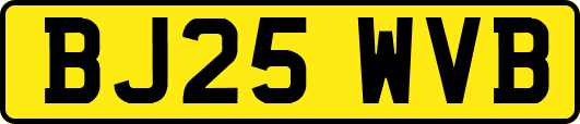 BJ25WVB