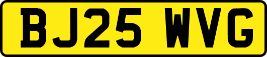 BJ25WVG