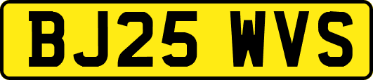BJ25WVS