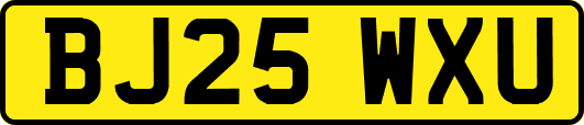 BJ25WXU