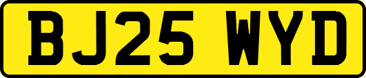 BJ25WYD