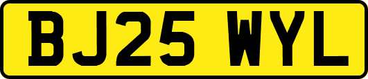 BJ25WYL
