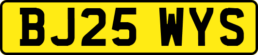 BJ25WYS