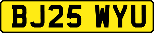 BJ25WYU