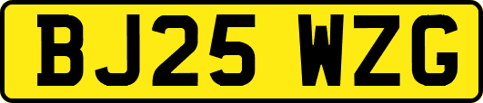 BJ25WZG