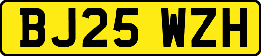 BJ25WZH
