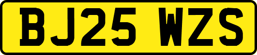 BJ25WZS