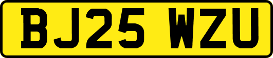 BJ25WZU